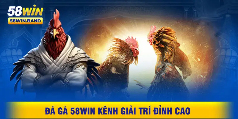 Đá Gà 58WIN Kênh Giải Trí Đỉnh Cao Không Thể Bỏ Qua