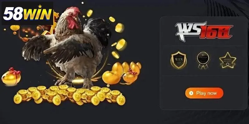 KHÁM PHÁ CÁC TRẬN ĐẤU ĐÁ GÀ ĐẲNG CẤP ĐẾN TỪ SẢNH WS168